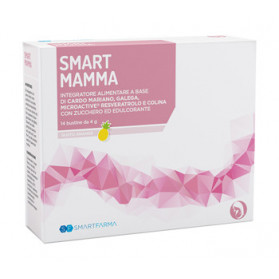 Smart Mamma 14 Bustine Ananas