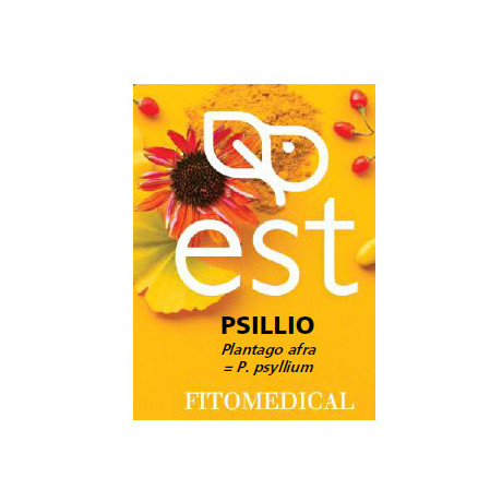 Psillio Estratto Secco 60 Tavolette