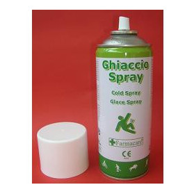 Instant Ice Gh Istant Spray