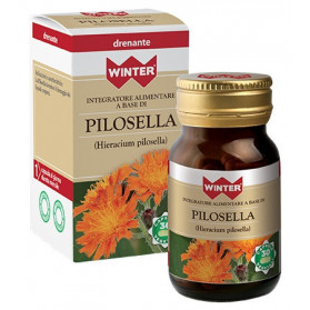 Winter Pilosella 30 Capsule Veg