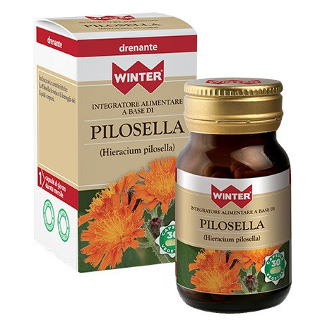 Winter Pilosella 30 Capsule Veg