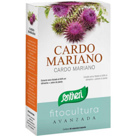 Cardo Mariano 40 Capsule