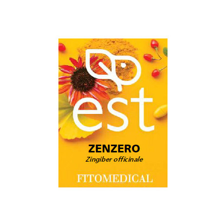 Zenzero Estratto Secco 60tav