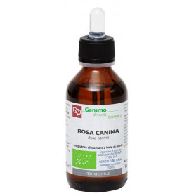 Rosa Canina mg Bio 100ml